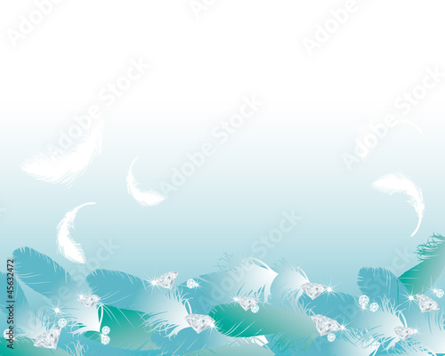 feather and jewelry background