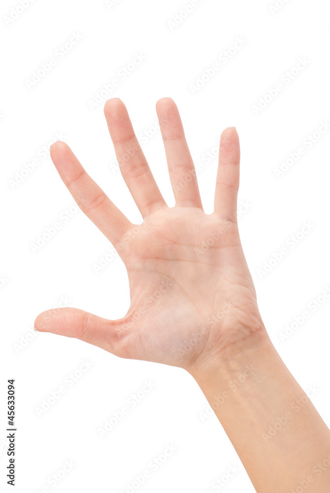 Open woman hand or number five Open woman hand or number five