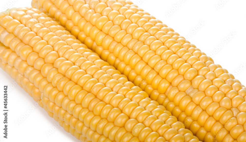 two ripe yellow corn cob two ripe yellow corn cob