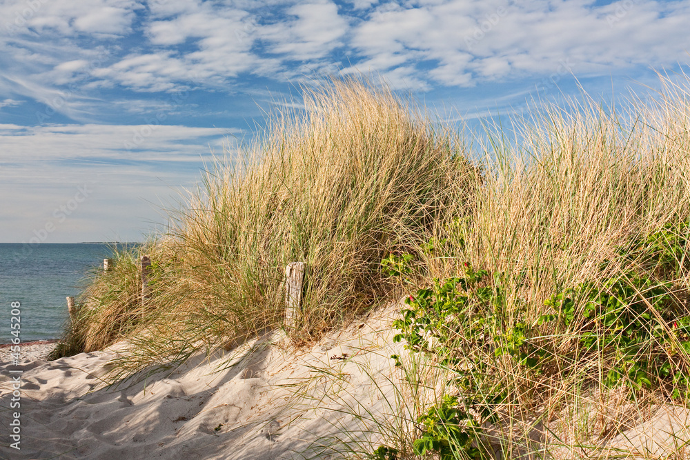 Weg zum Strand durch Dünen bei Heiligenhafen an der Ostsee Weg zum Strand durch Dünen bei Heiligenhafen an der Ostsee