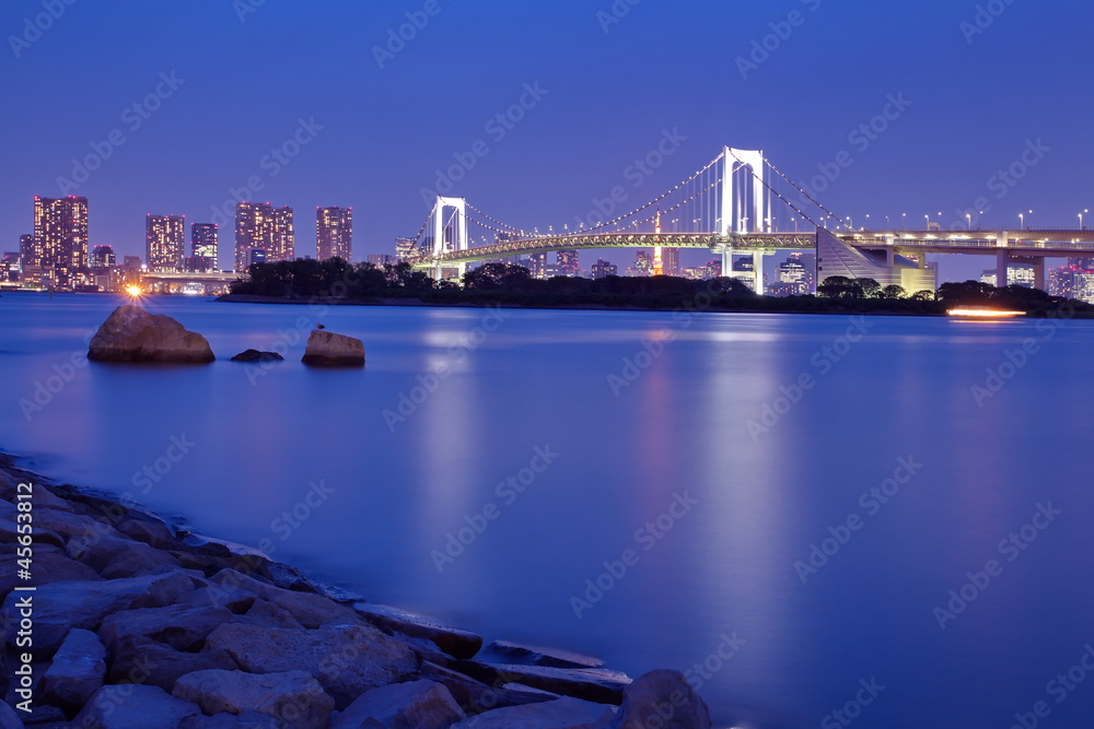 Obraz premium Night View of Tokyo