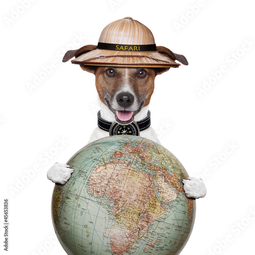 travel globe compass dog safari explorer photo