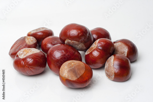 Chestnut