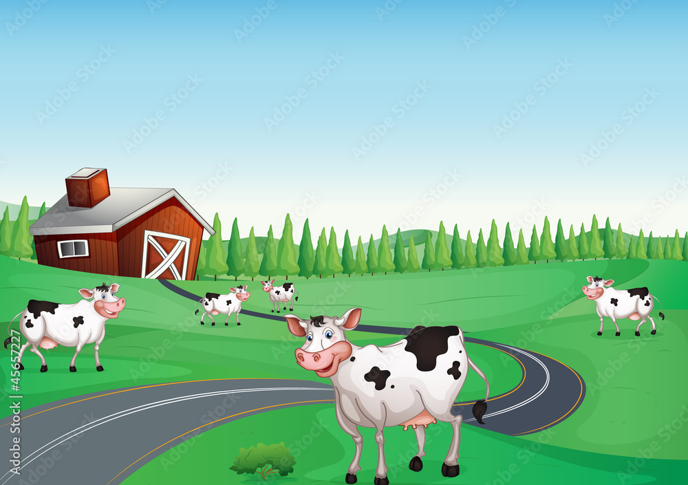 house and cow house and cow
