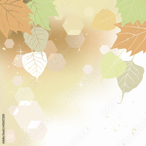 Leaf, autumn - vector background