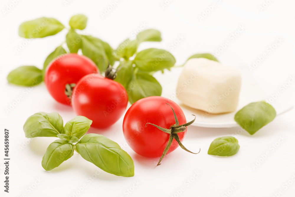 tomatoes and basil tomatoes and basil