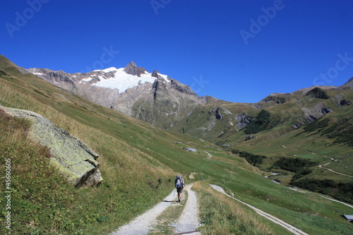 Wallpaper Mural Aiguille des Glaciers Torontodigital.ca