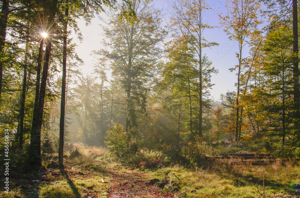 Naklejka premium Herbst in den Alpen