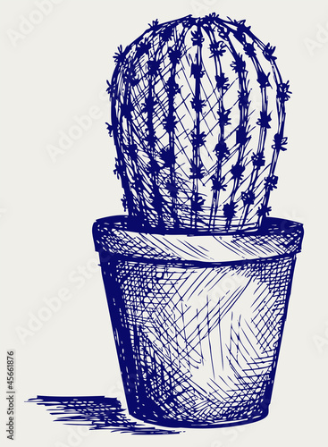 Cactus in desert. Doodle style