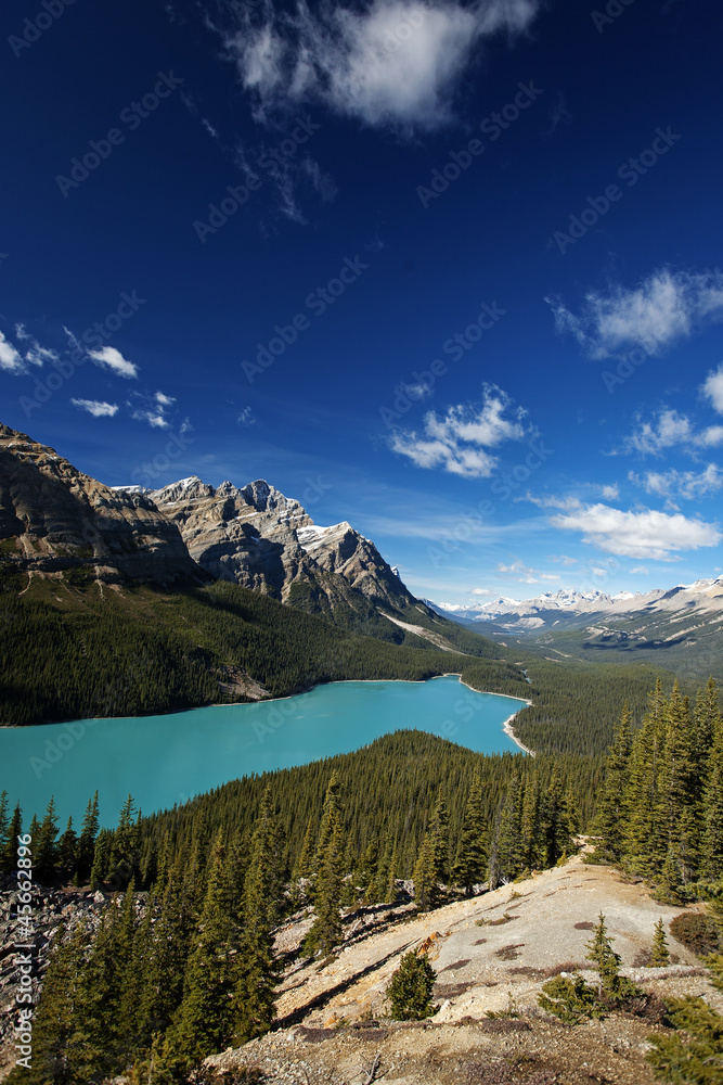 Peyto Lake