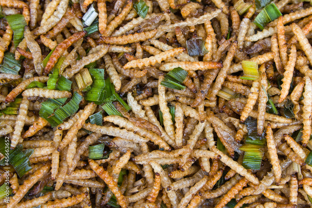 Fried bamboo larvae - national snack in Thailand Fried bamboo larvae - national snack in Thailand