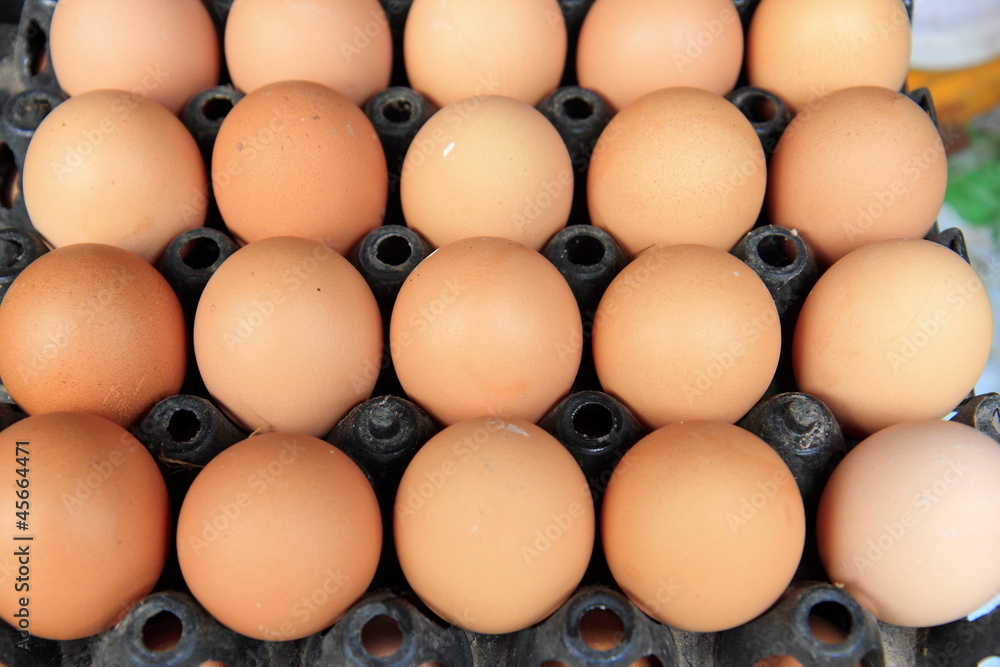 Egg Egg