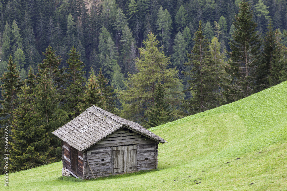 Alp wood shed on a slope