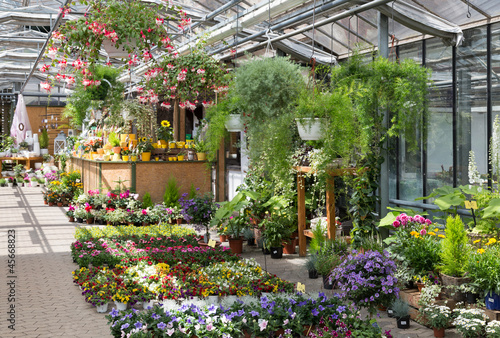 Garden center selling plants in a greenhouse