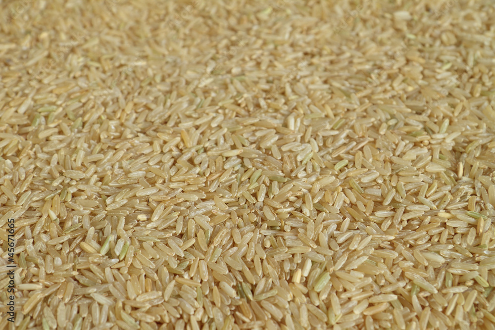 Brown rice seeds