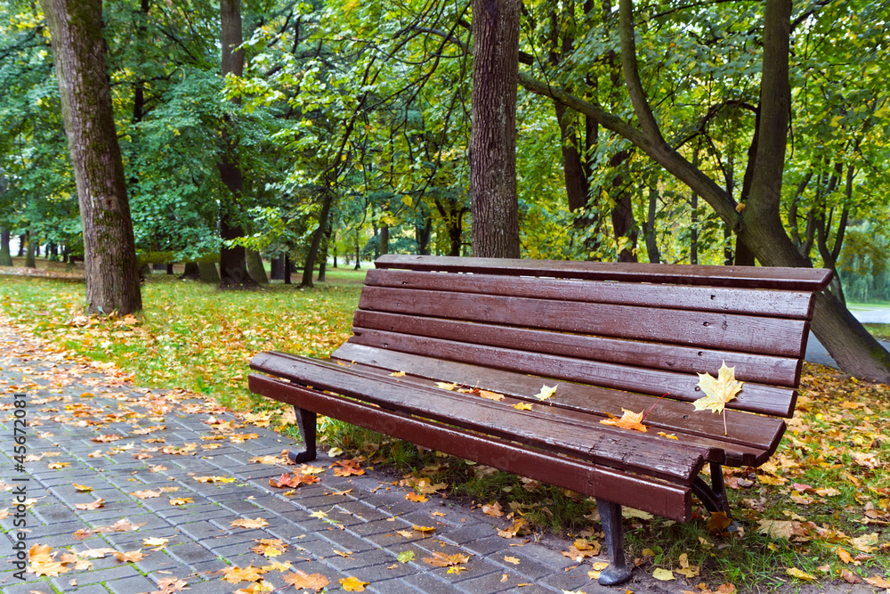 Bench in autumn park
