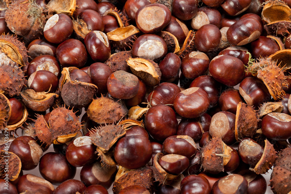 ripe chestnuts ripe chestnuts