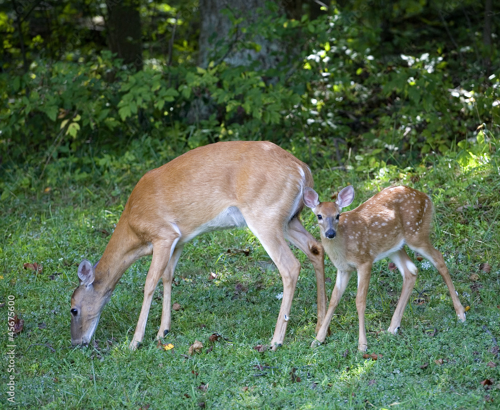Breakfast with mom