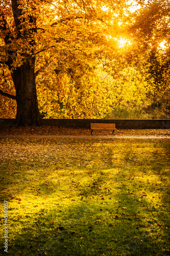 Parkbank in herbstlichem Park