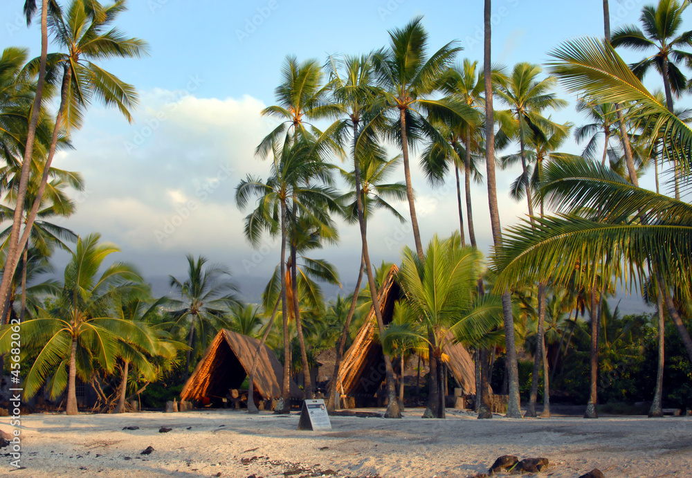 Hawaiian Sacred Site