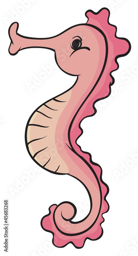 seahorse
