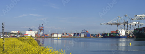 rotterdam harbor photo