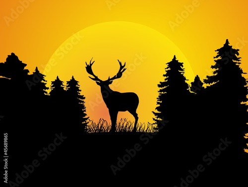 huntsman - hunter - deer - poacher - wild