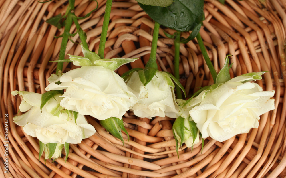 Beautiful white roses on wicker mat close-up Beautiful white roses on wicker mat close-up