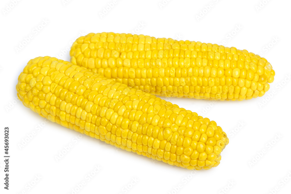Corn isolated on white Corn isolated on white