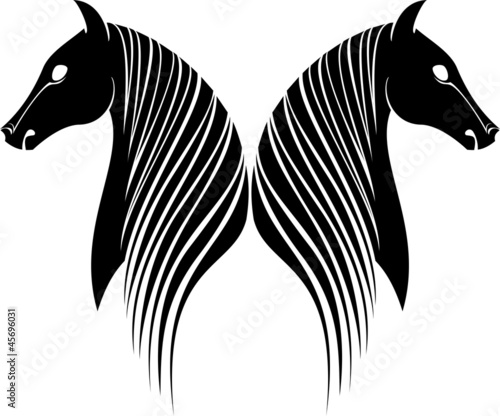 two horses