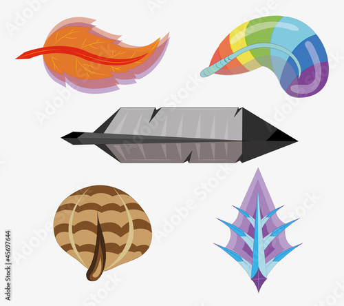 Different bird's feathers.