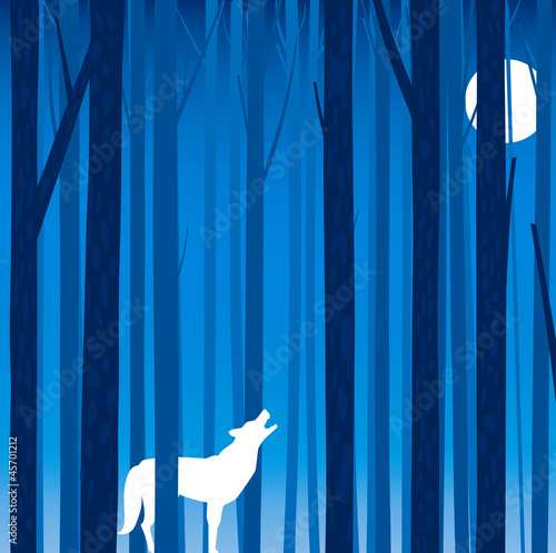 forest tree background