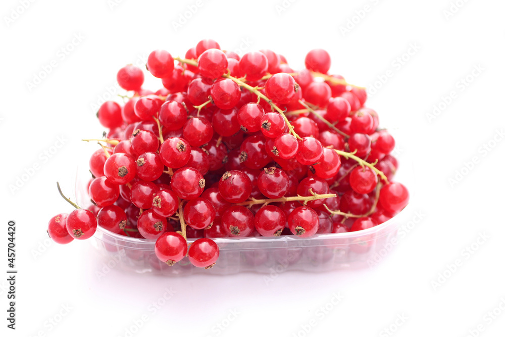 Groseille pour la gelée Groseille pour la gelée