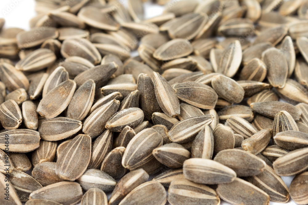 Sunflower seeds