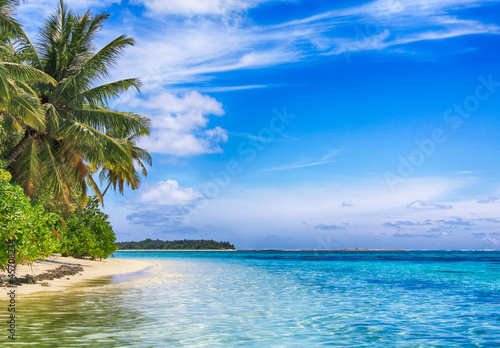 Tropical paradise. Coconut palm white sand tropical beach