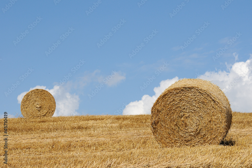 Zwei Strohballen vor blauem Himmel Zwei Strohballen vor blauem Himmel