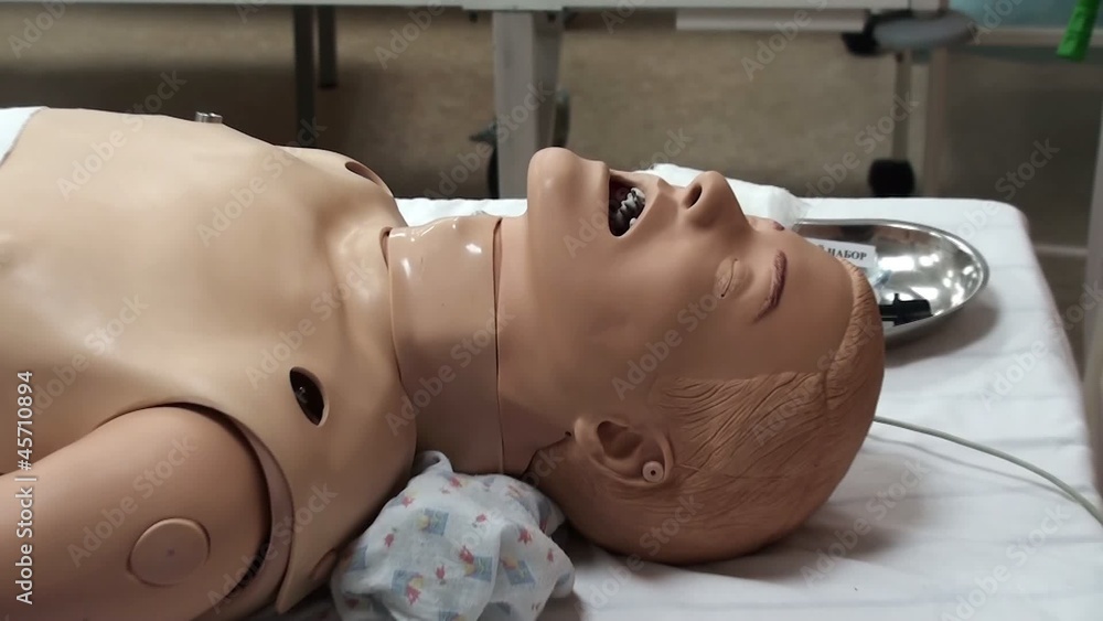 Medical simulation Center. Interactive mannequins.