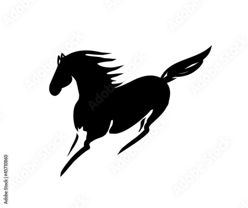 Fototapeta Naklejka Na Ścianę i Meble -  black beautiful horse