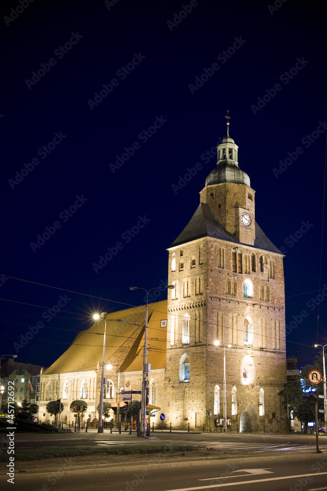 Katedra. Polska