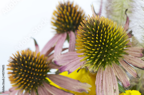 autumn bouquet