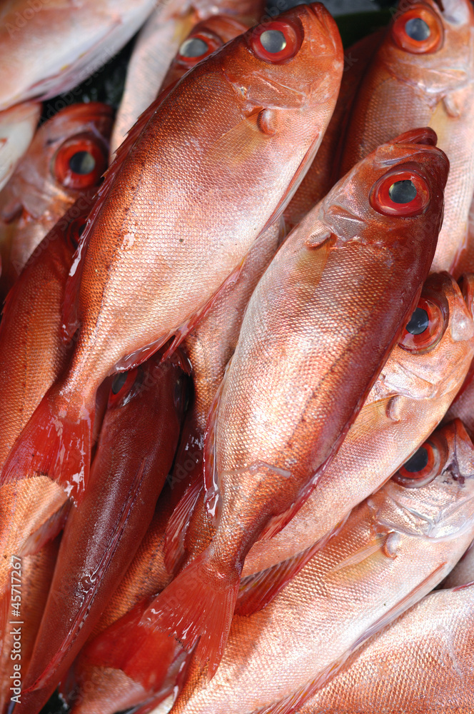 red mullets at the local market red mullets at the local market