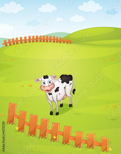 a cow