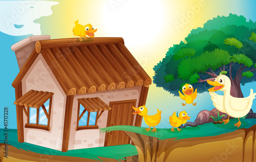 wooden house and ducks