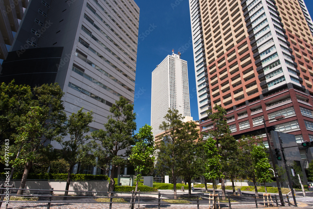 Obraz premium 池袋の高層ビル街