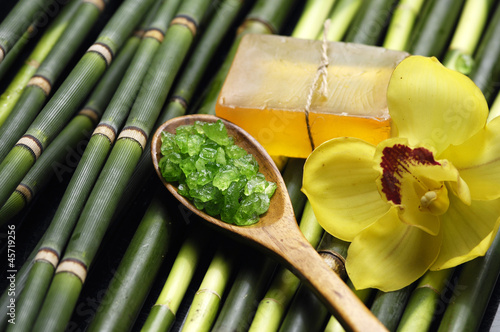 spoon and Soap with orchid on thin bamboo grove