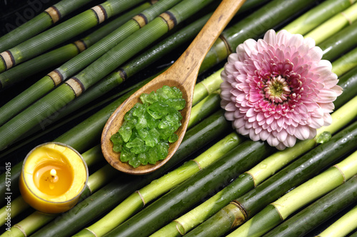 Spa treatment and aromatherapy-on grove bamboo background