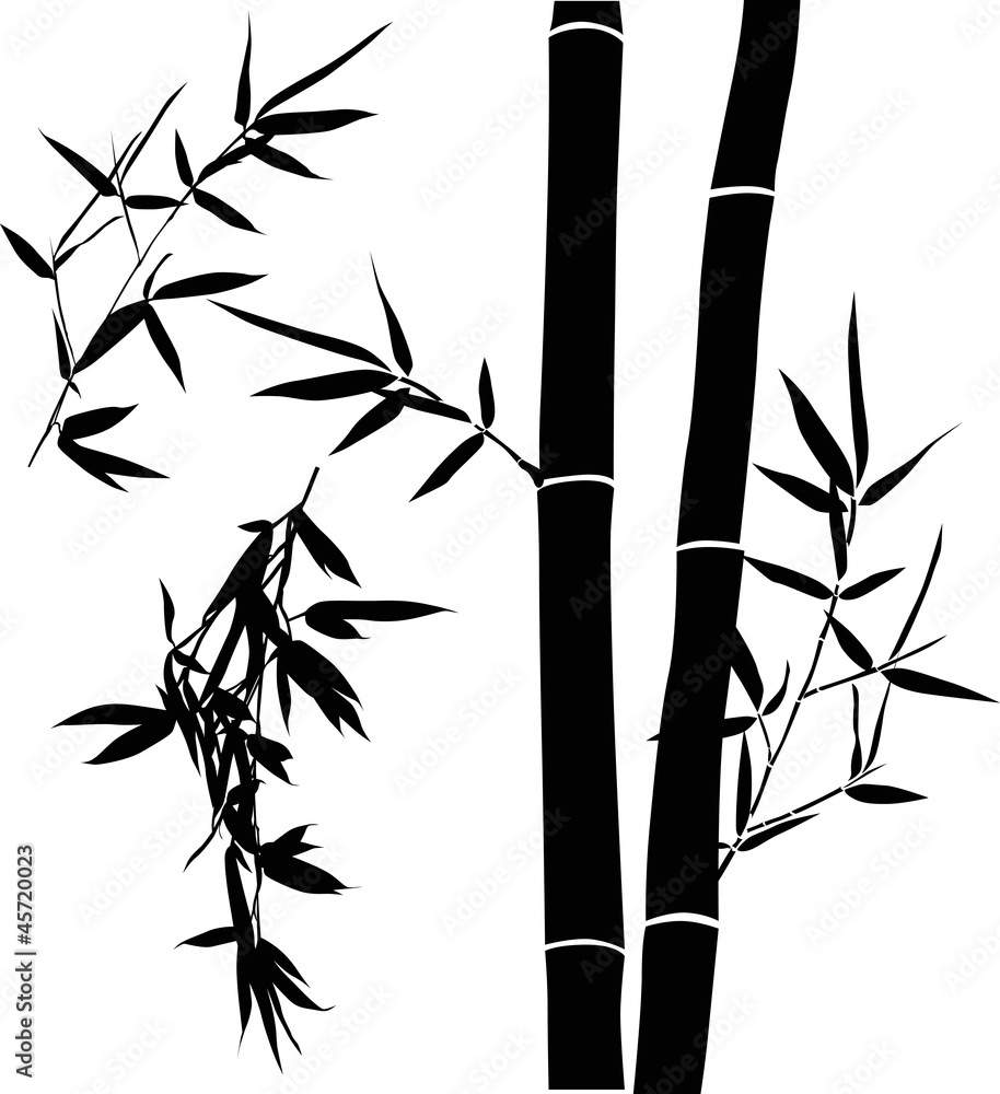 Obraz premium black illustration with bamboo branches collection