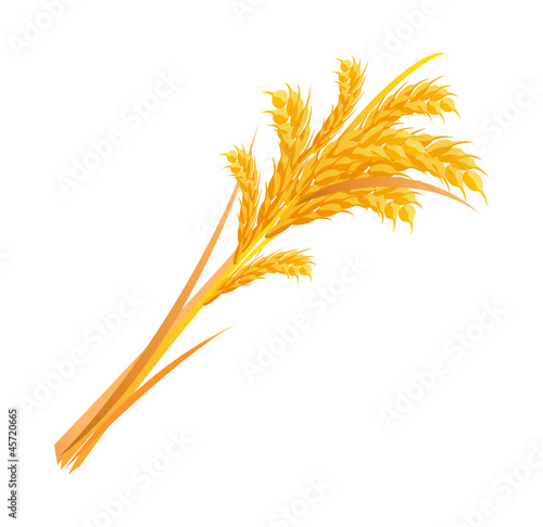 icon grain