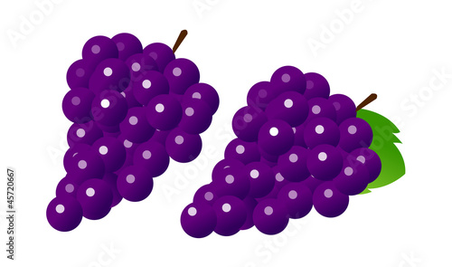 icon grape