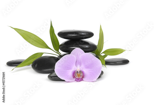 Macro of orchid and bamboo leaf with stacked stones